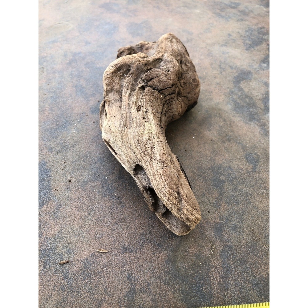 Natural Driftwood for Plants Terrarium Taxidermy Art Projects - Picture 2 of 5